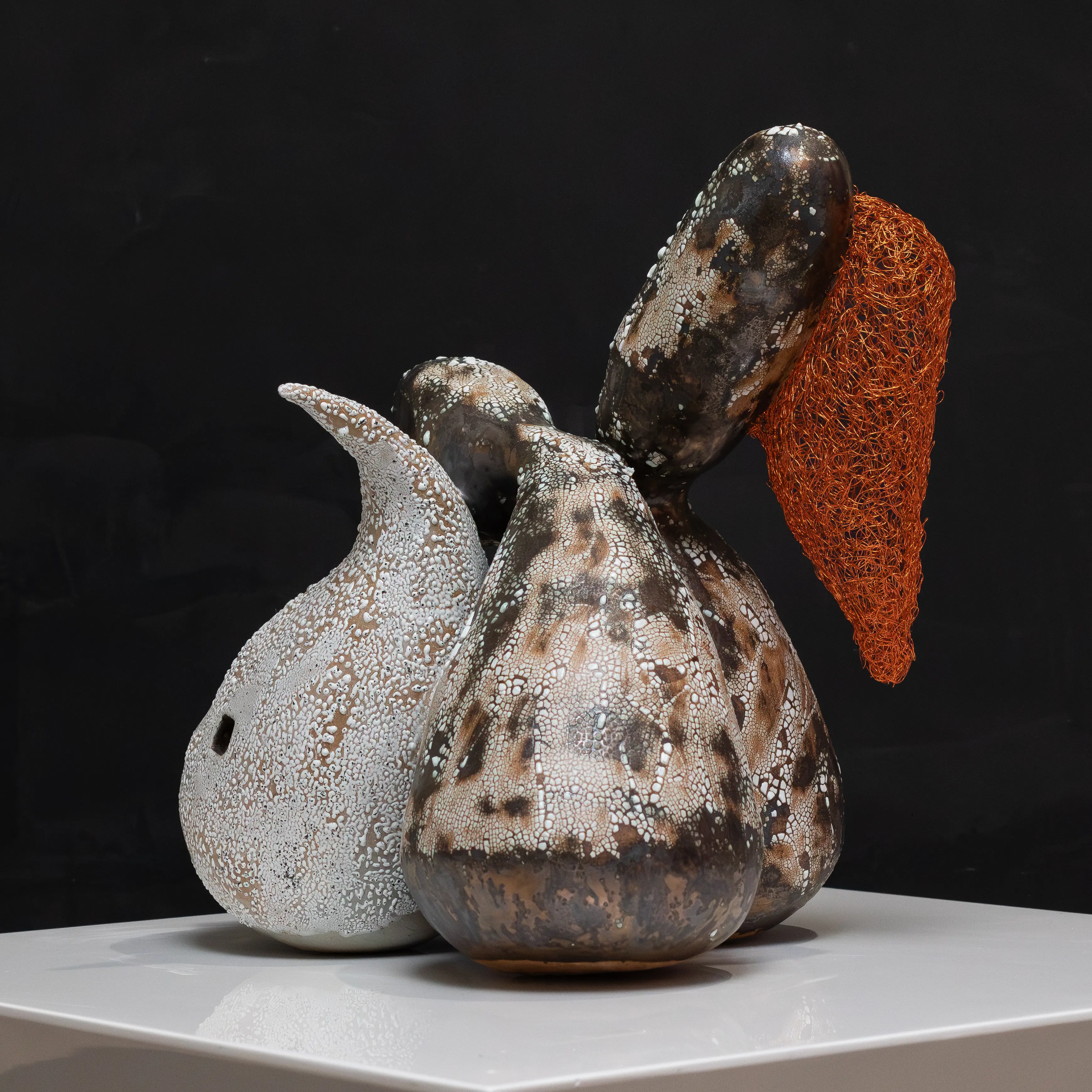 Senescence by Craig Wcislo