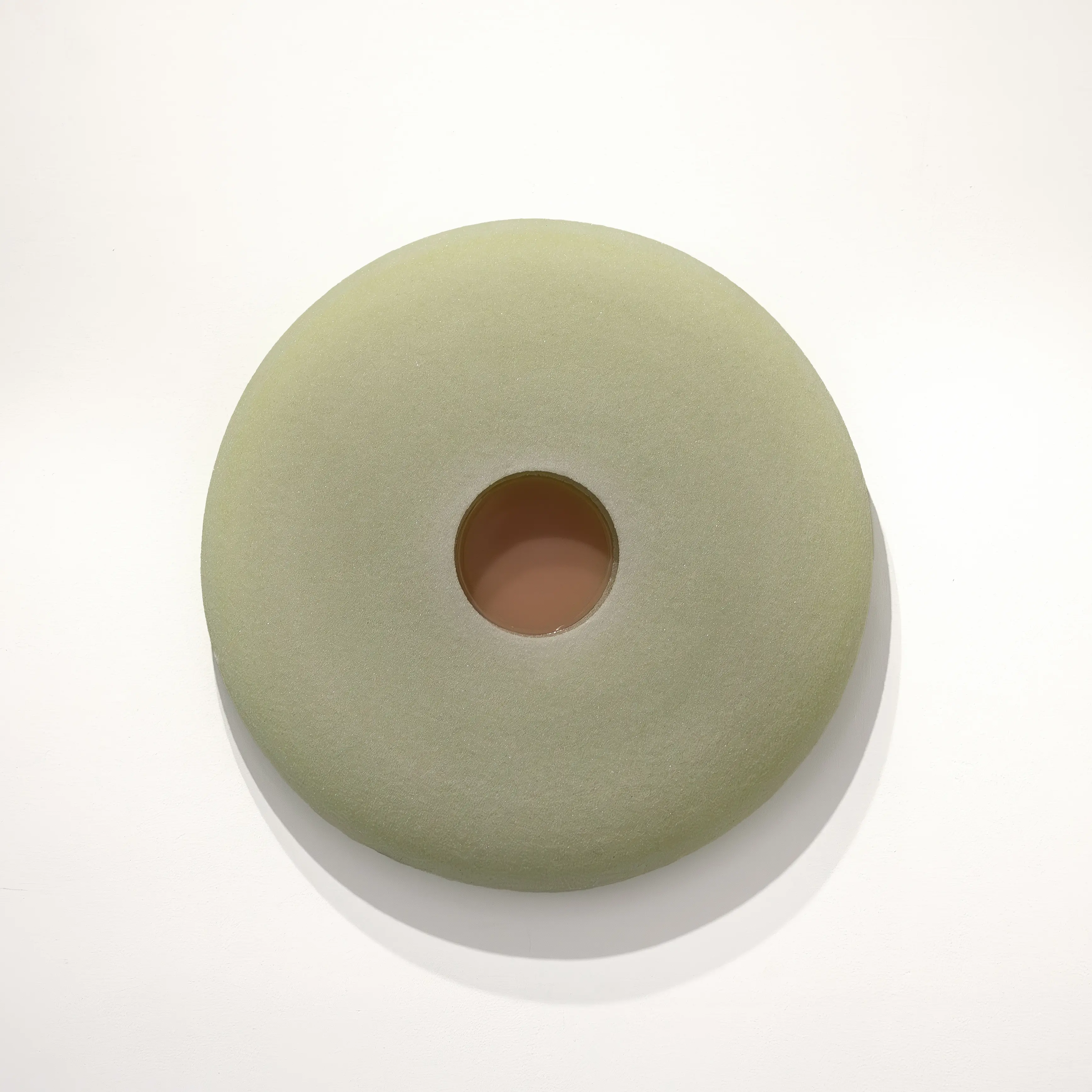 Sun Moon (Camellia Flower Series) by Ron Reihel