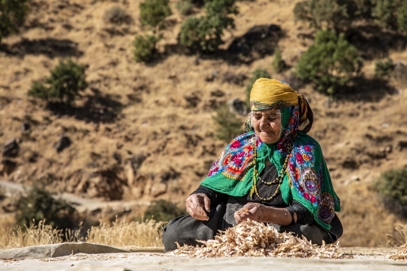 Safa Exhibition: Photographer Adel Yaraghi's Virtual Artist Spotlight