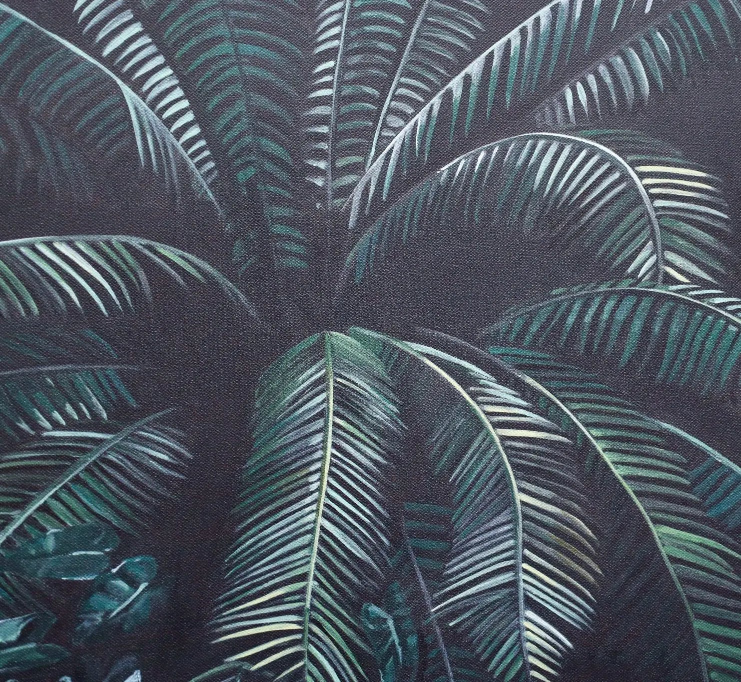 Jungle Cadi