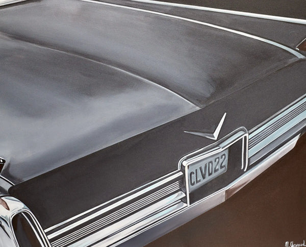 Jungle Cadi