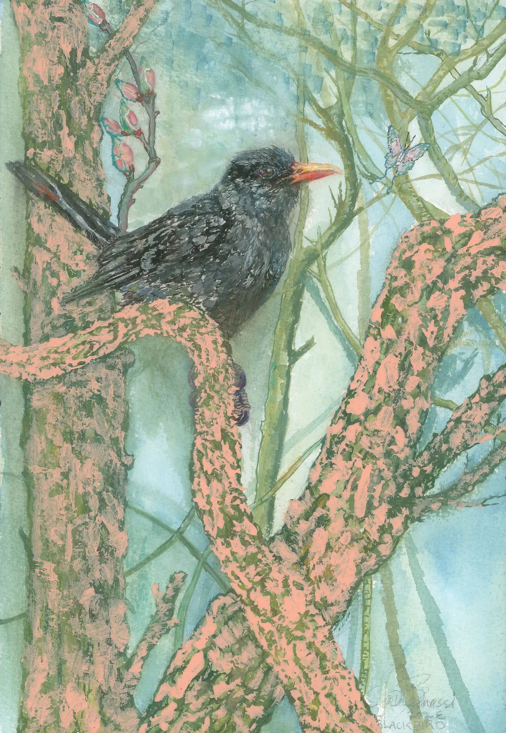 Blackbird and Fragile Butterfly