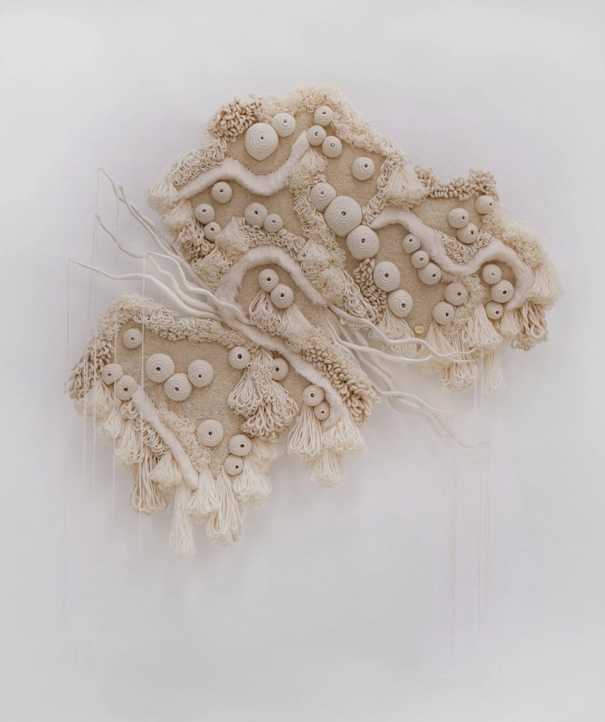 Bleached Coral