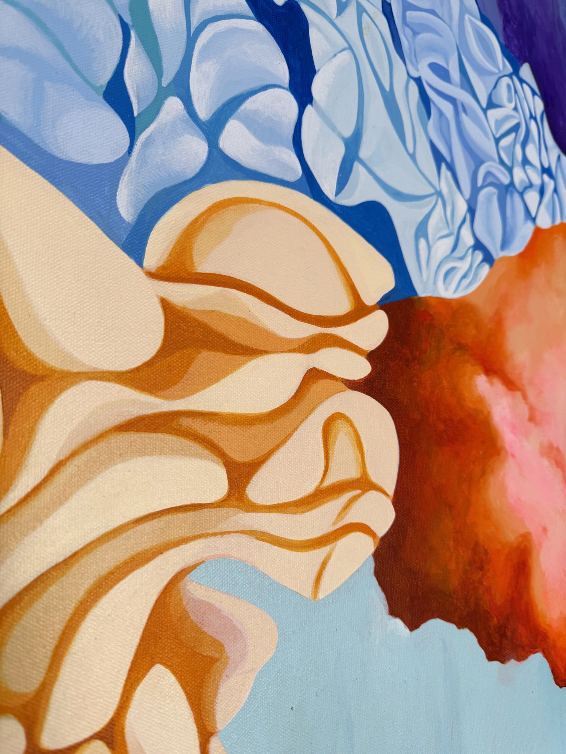 Landscapes From The 5th Dimension