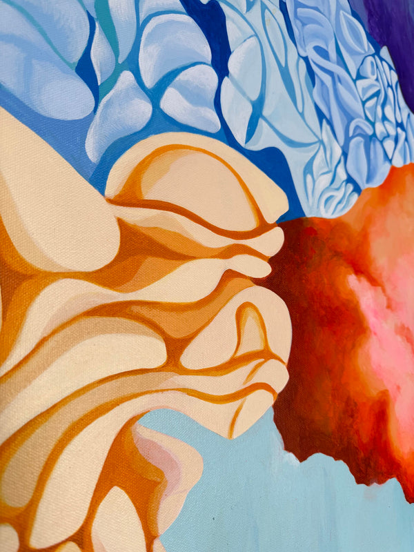Landscapes From The 5th Dimension