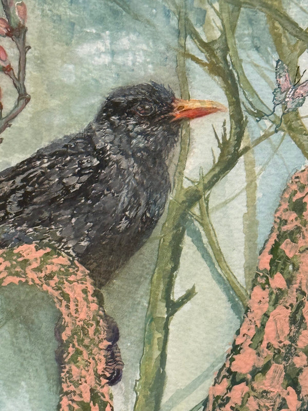 Blackbird and Fragile Butterfly