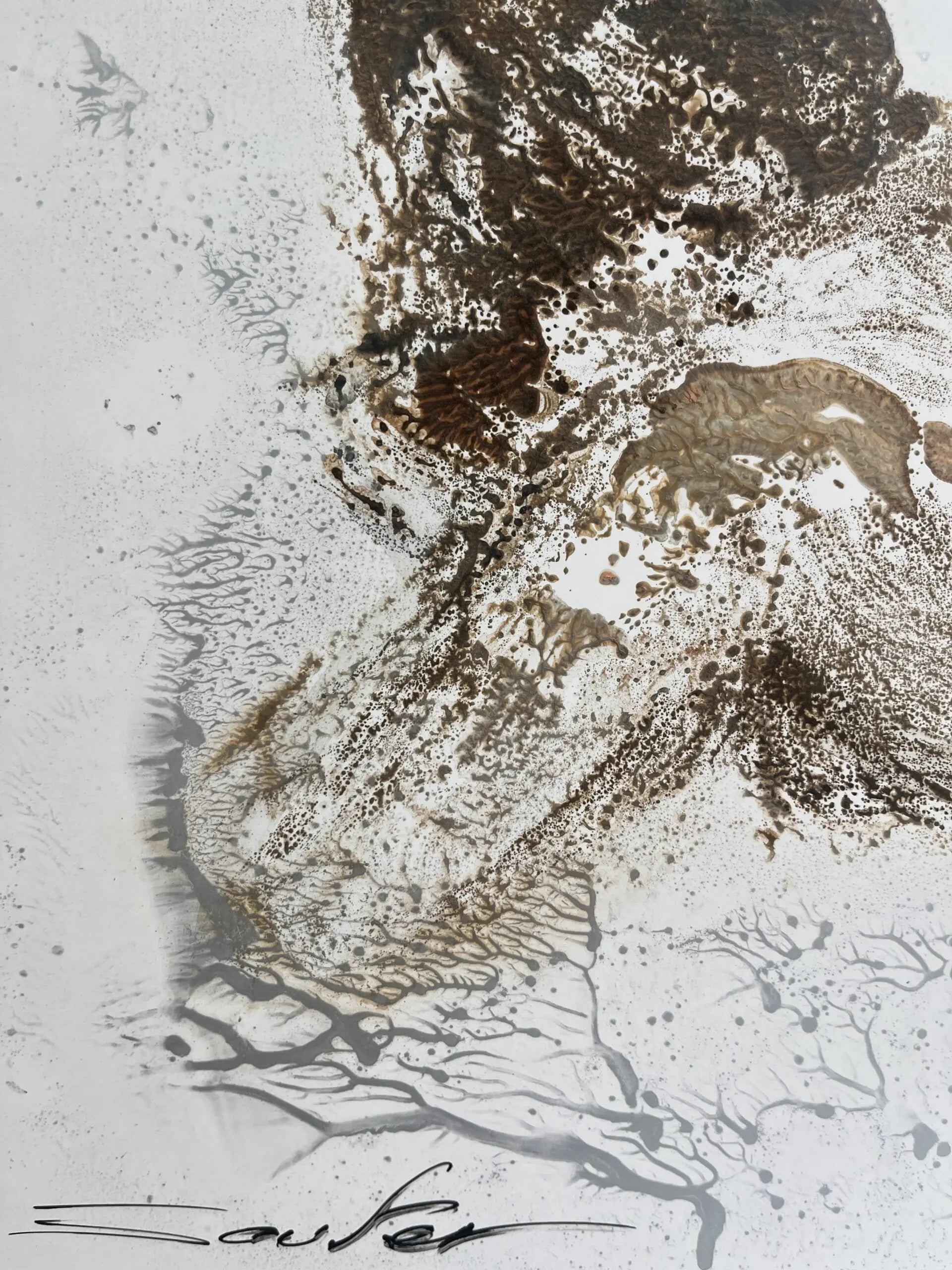Language of Skin