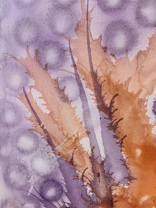 Coral Symphony