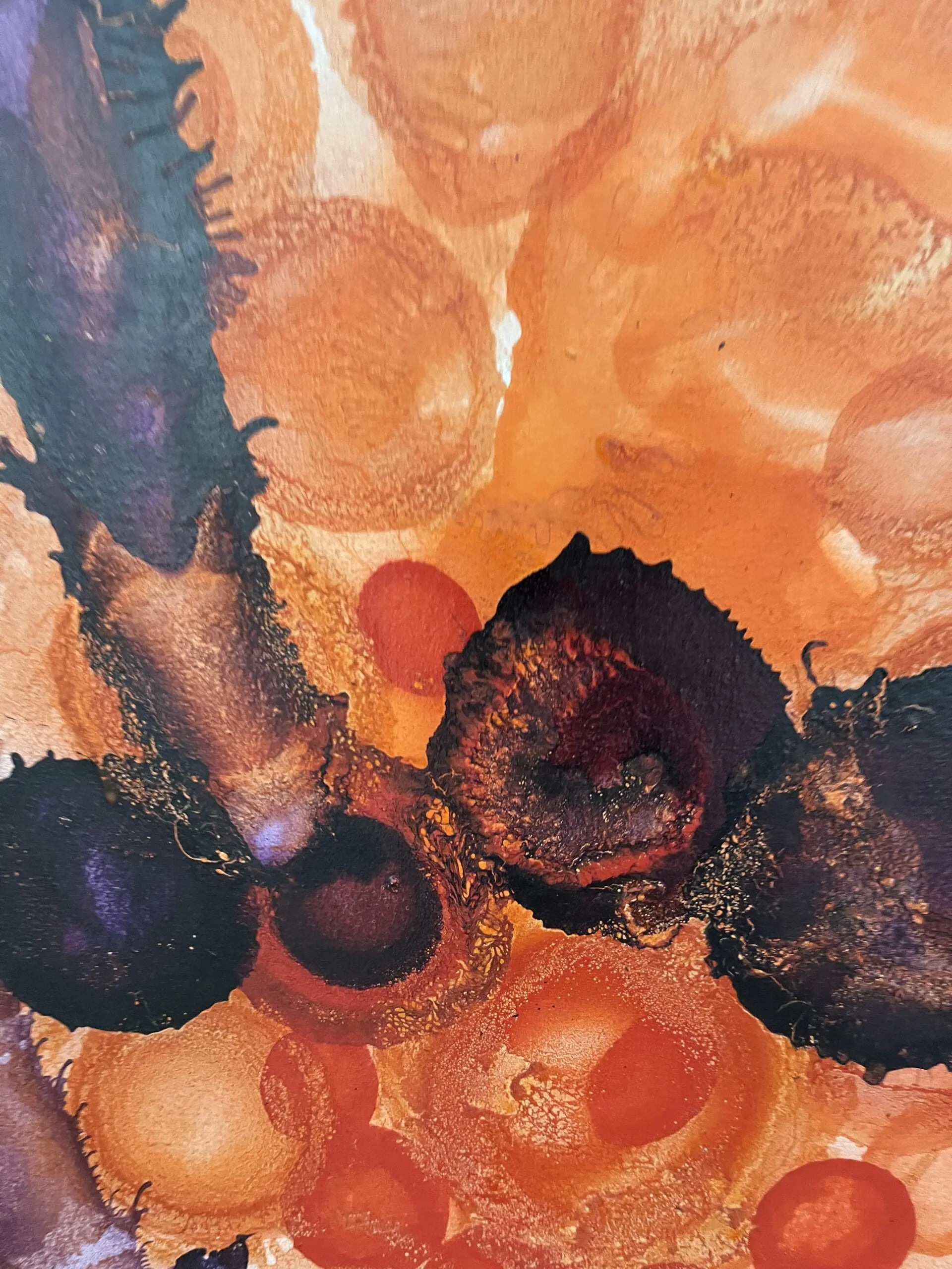 Coral Symphony