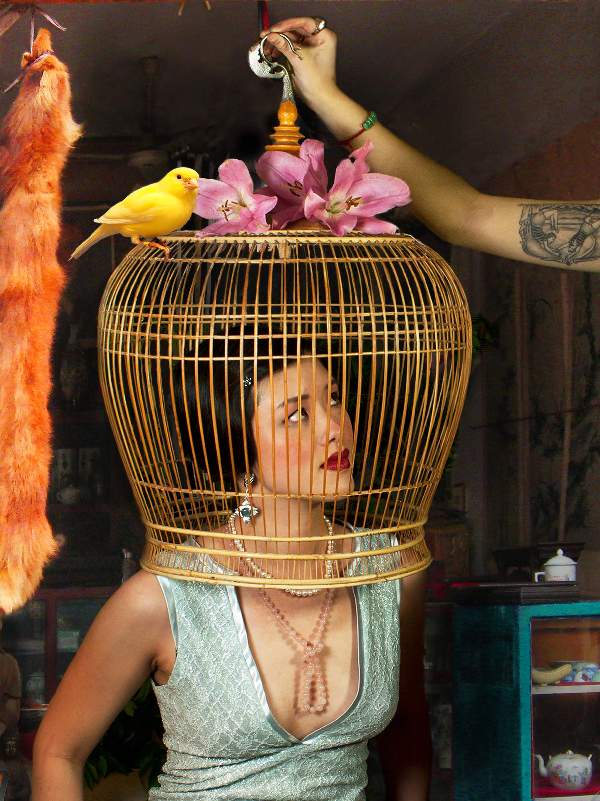 The Birdcage