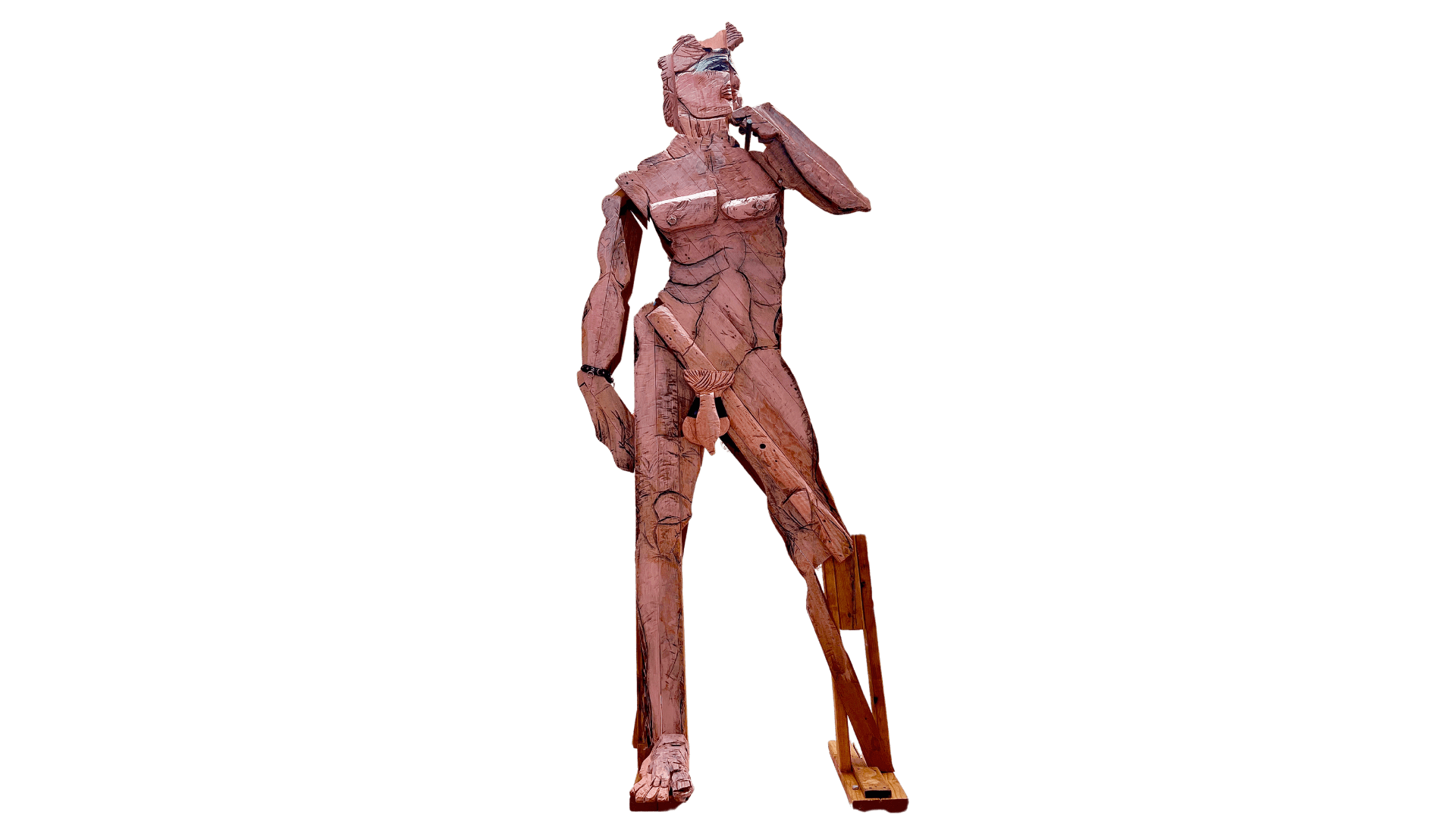 Pink Kink David