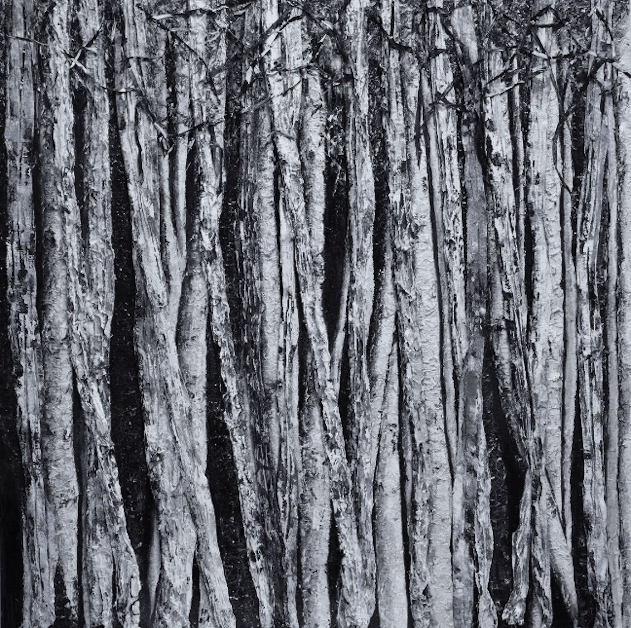 Intertwined in Moonlight