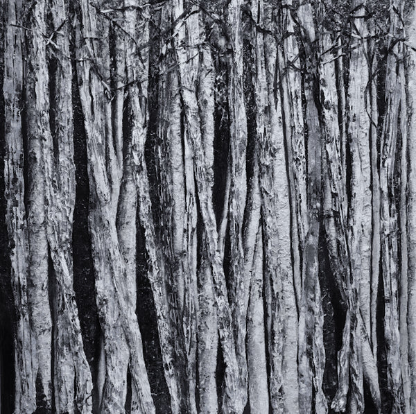 Intertwined in Moonlight