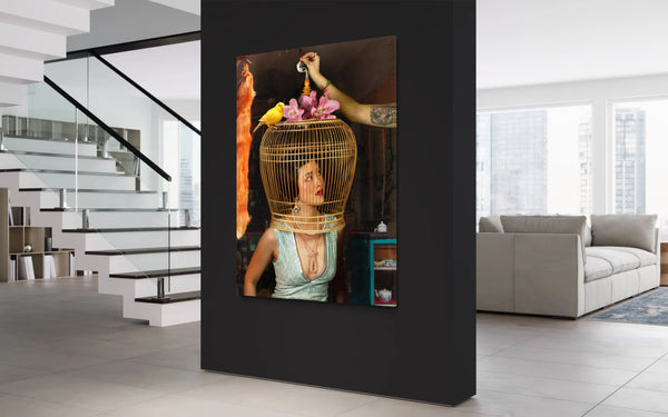 The Birdcage