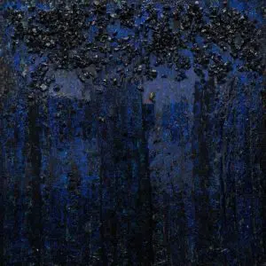 VELVET NIGHT by Haleh Mashian