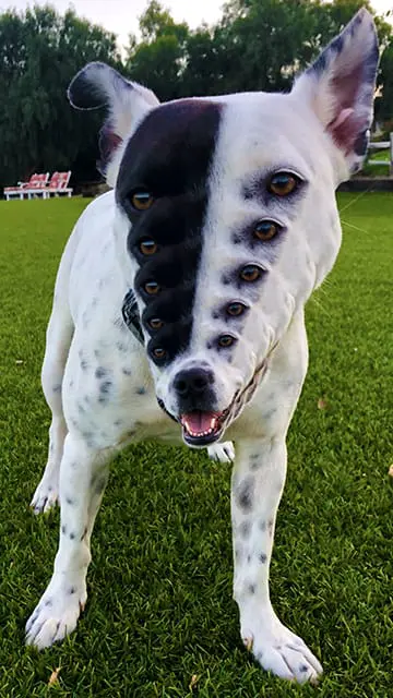 mashgallery-kevin-spanky-long-photo-rendering-no-3-2019