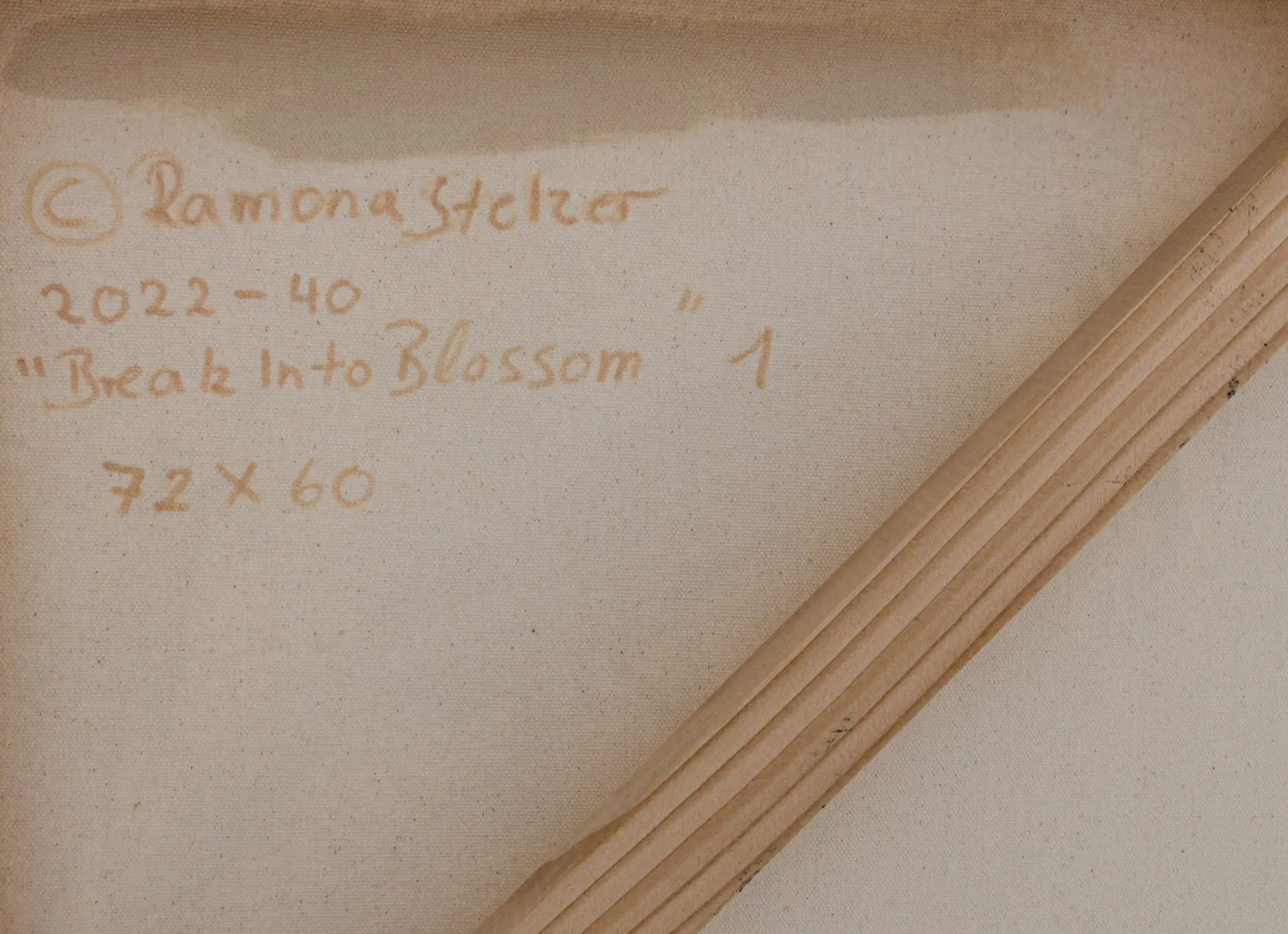Break Into Blossom 1 Ramona Stelzer Back Signature Break Into Blossom 1 Ramona Stelzer Back Signature