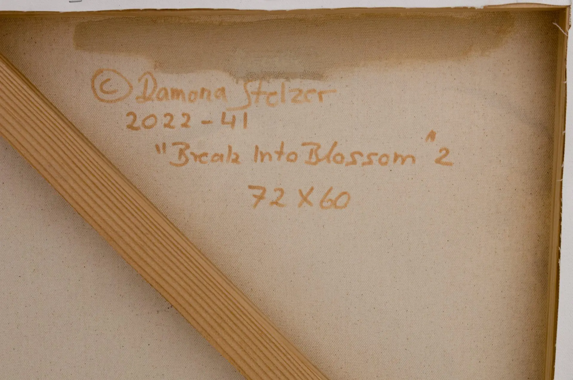 Break Into Blossom #2 Ramona Stelzer Back Signed