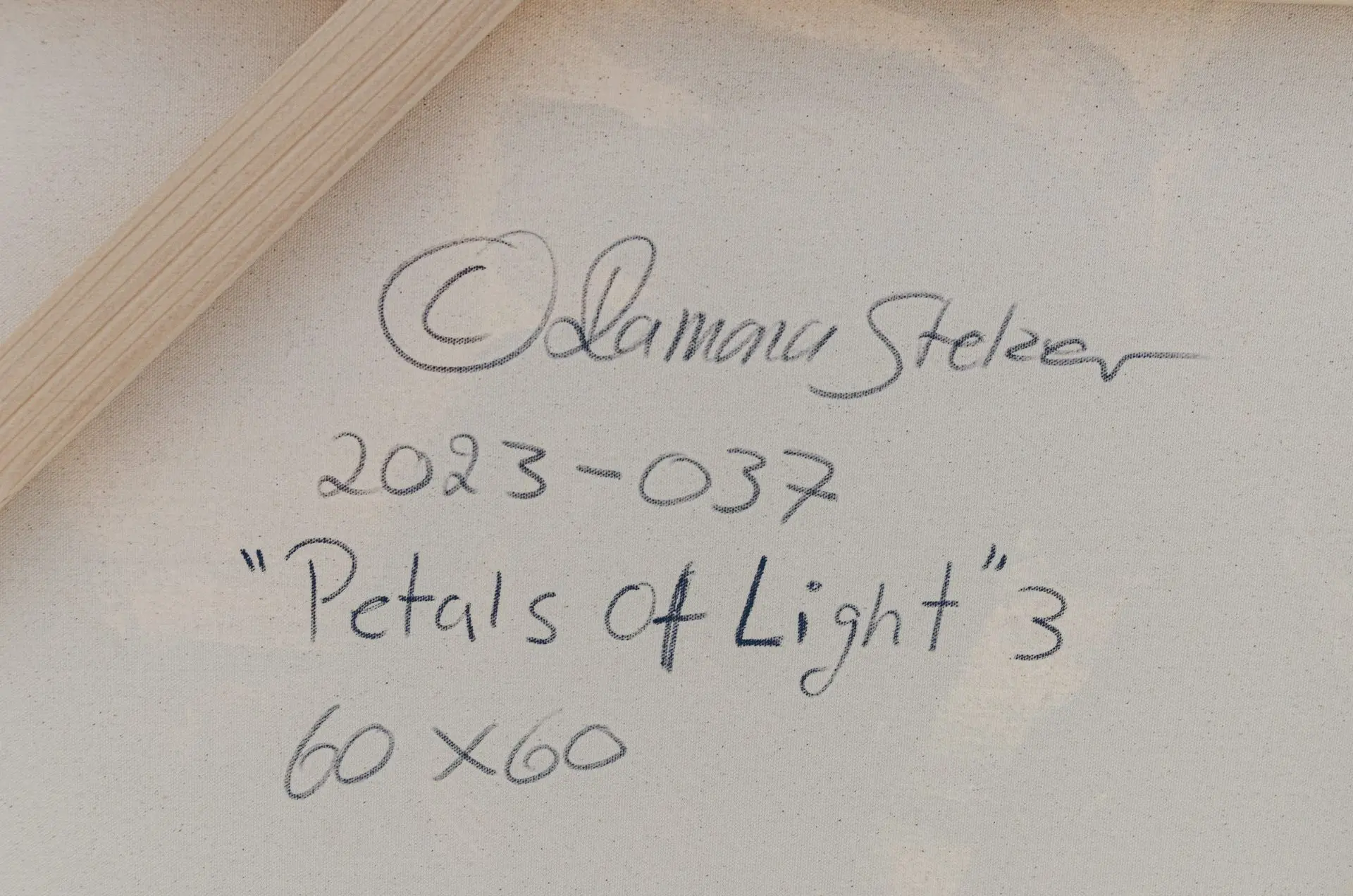 Petals of Light 3 Ramona Stelzer Back of painting Signature A photograph of a signed abstract floral painting by Ramona Stelzer