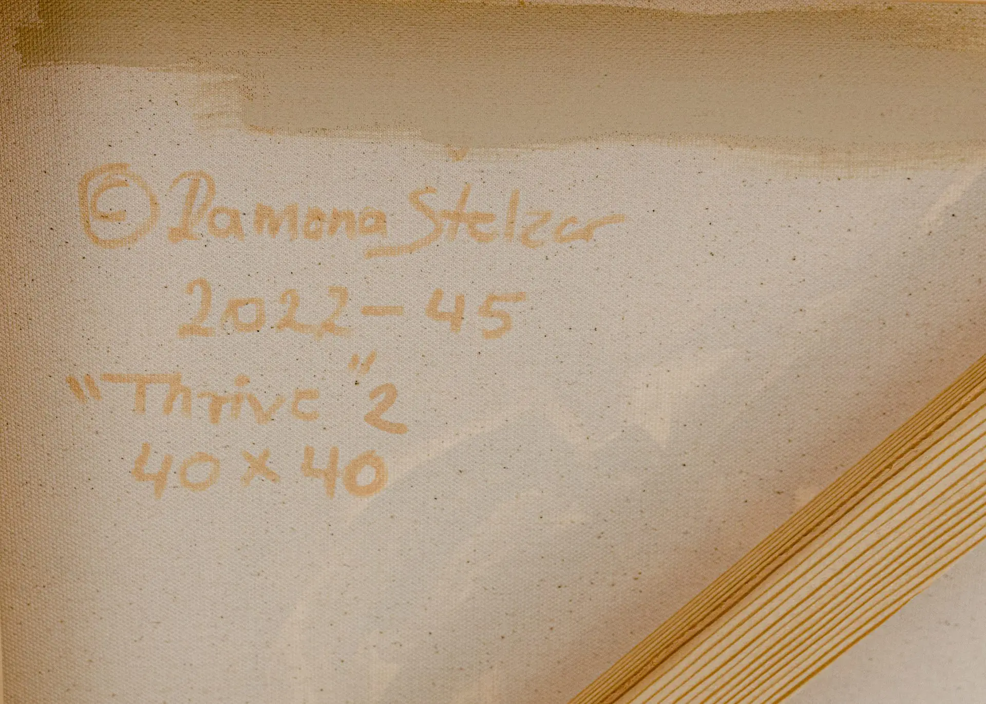 Thrive 2 Ramona Stelzer Back Signature