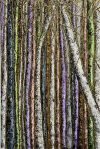 GOLDEN THREAD 60X40 by Haleh Mashian