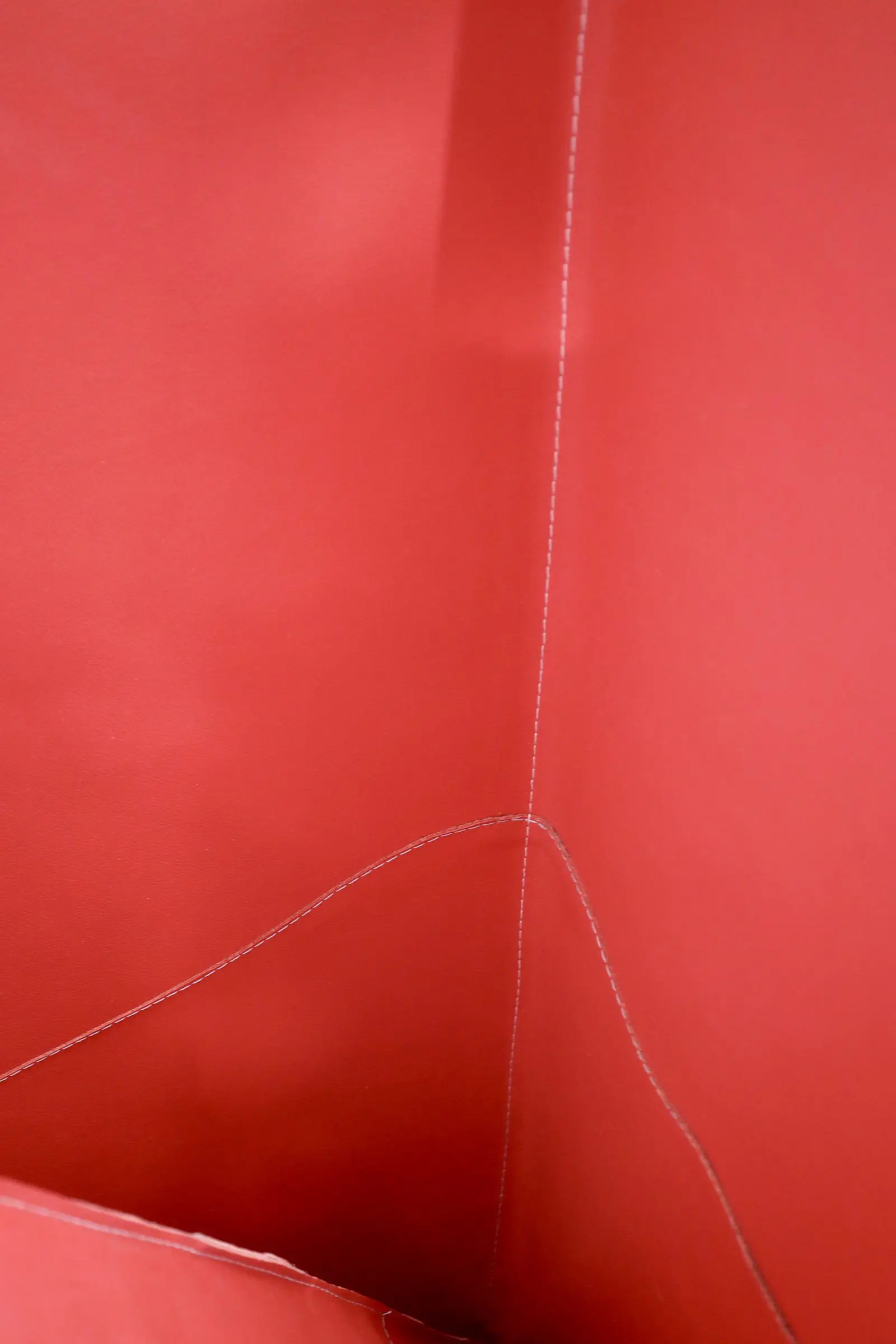 5C6632CA-302E-4F5B-BEEB-B0686DF73A62_1_201_a