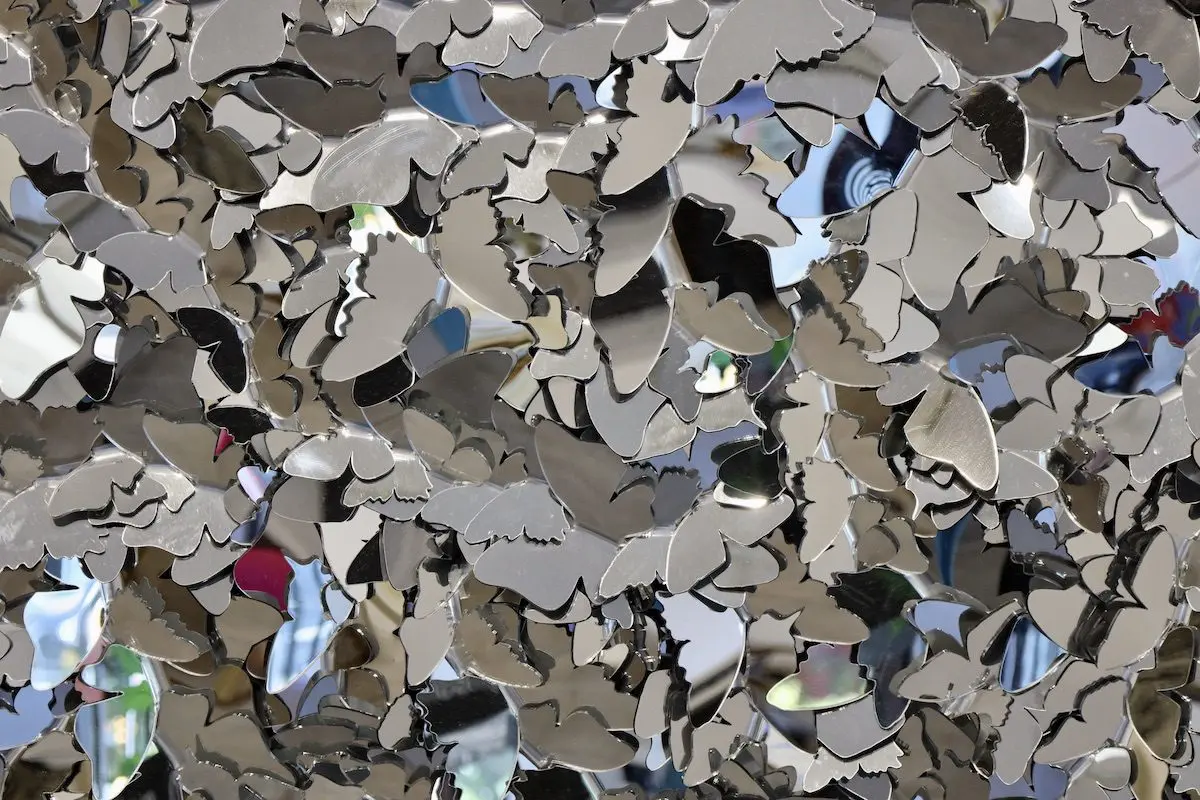 A6B77917-ECC8-4F49-8E3D-3620F493ADC2_1_201_a