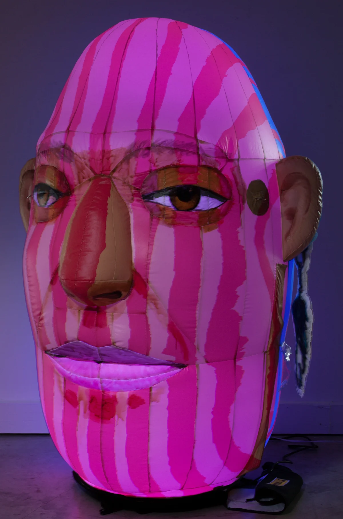 Frank Hyder Contemporary Art Gallery in LA Artist