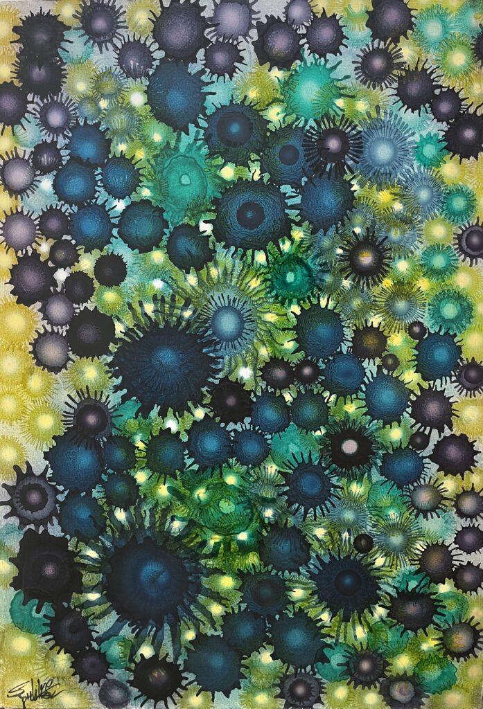 emerald visions