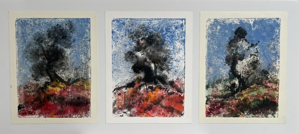 vibrant vistas