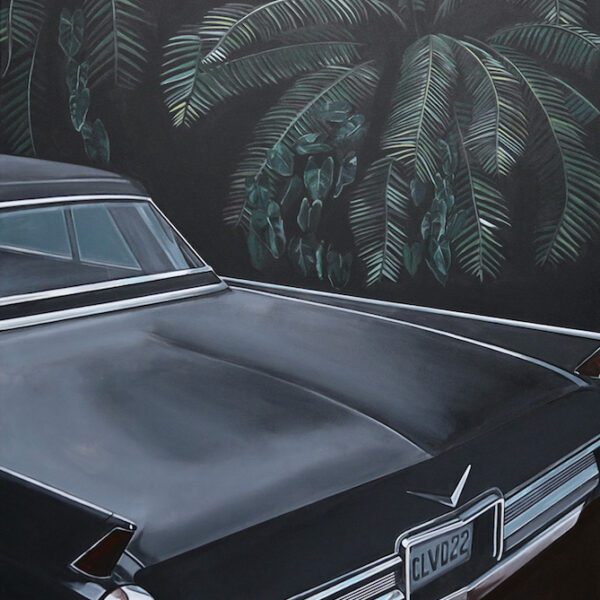 Jungle Cadi