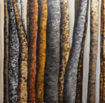 Veils of Nature Haleh Mashian Art Los Angeles Contemporary Art Gallery